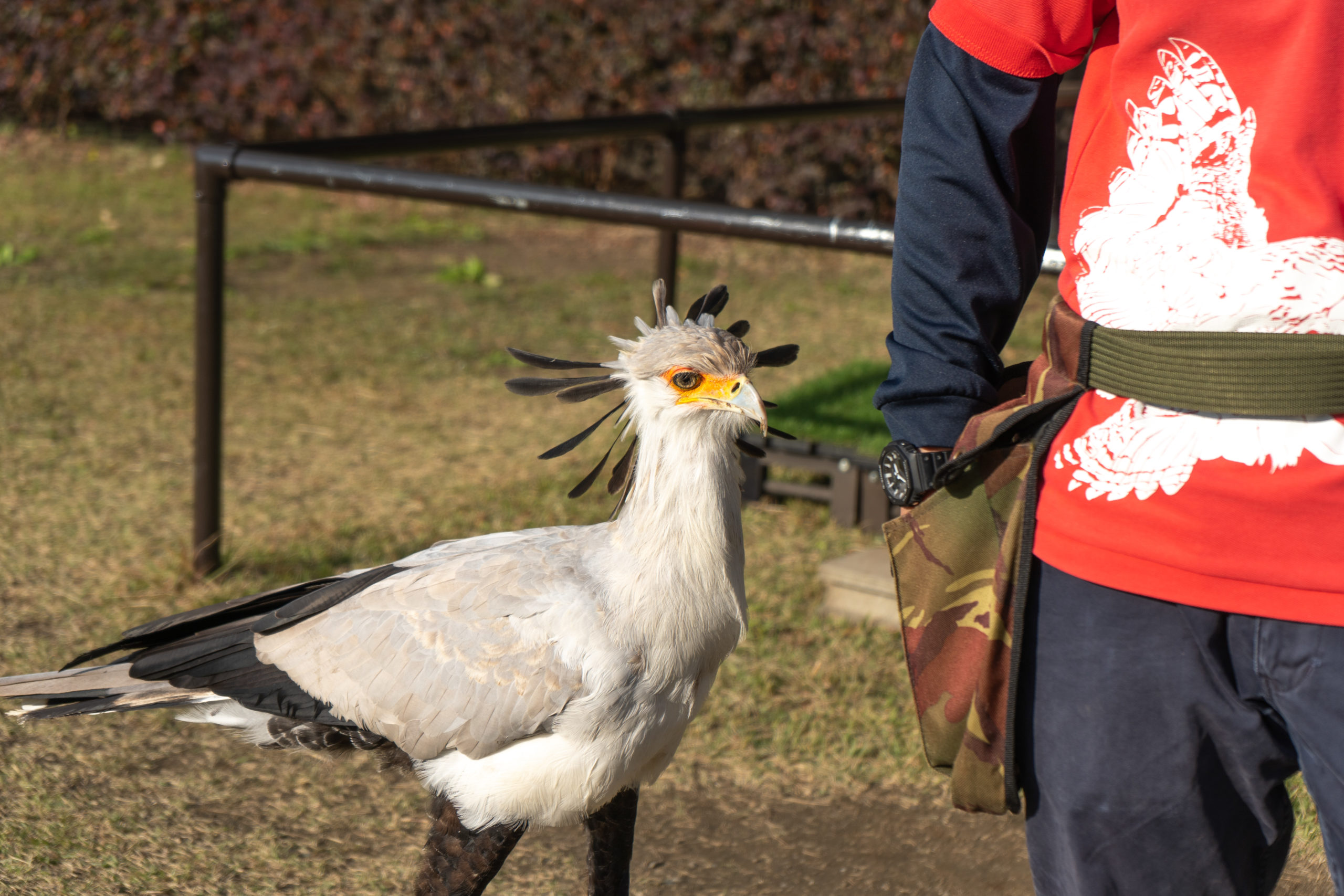 多様な鳥に触れ合える 掛川花鳥園 ふじのくにパスポート